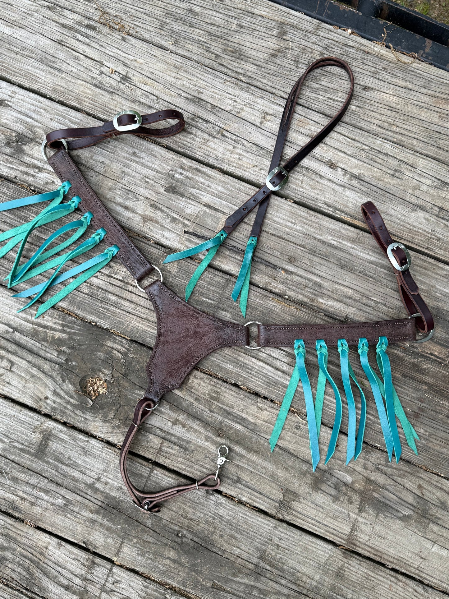 Turquoise Longhorn