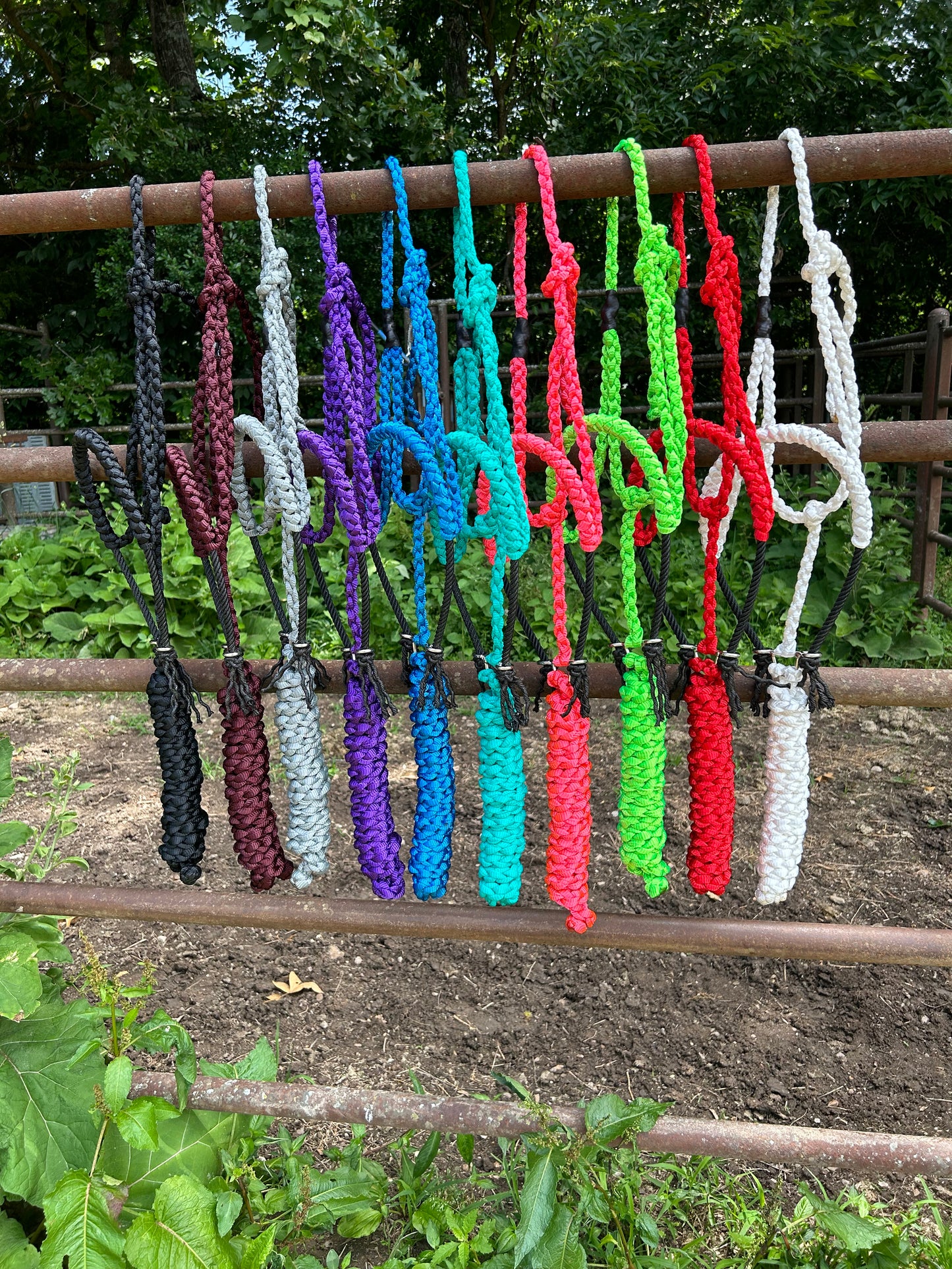 Solid color rope halter