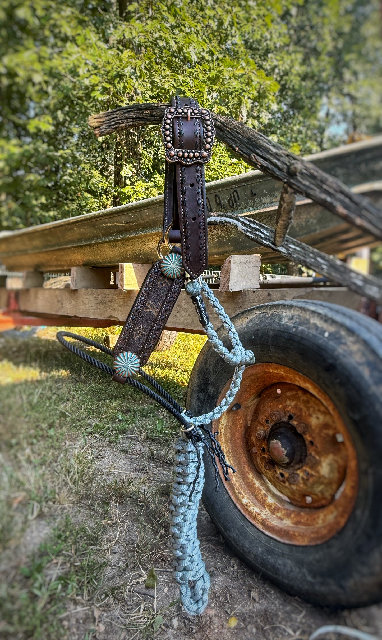 The Turquoise Pinwheel hybrid halter