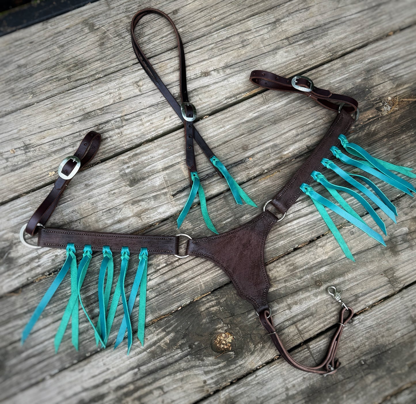 Turquoise Longhorn