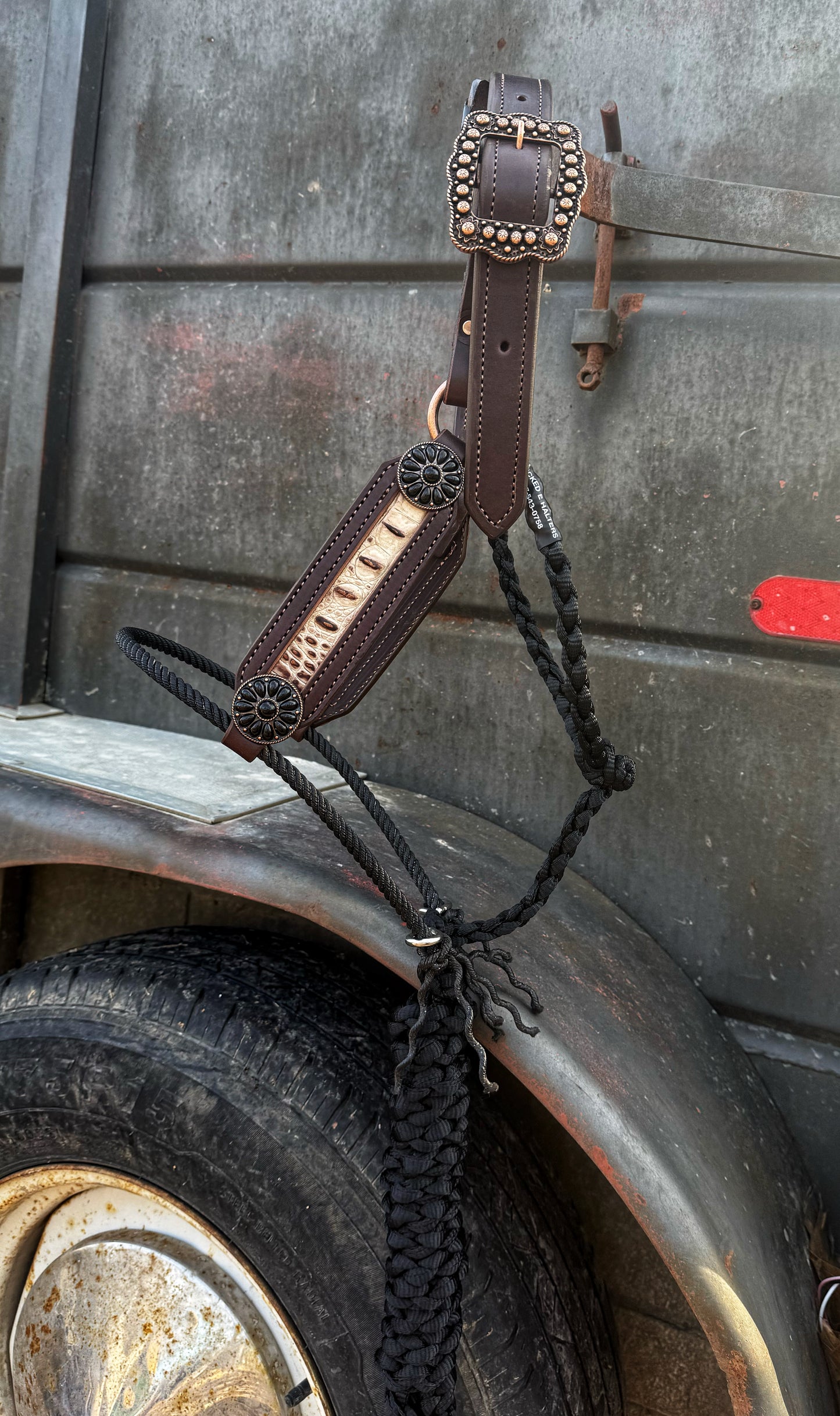 White Croc w/ blk sandstone conchos hybrid halter
