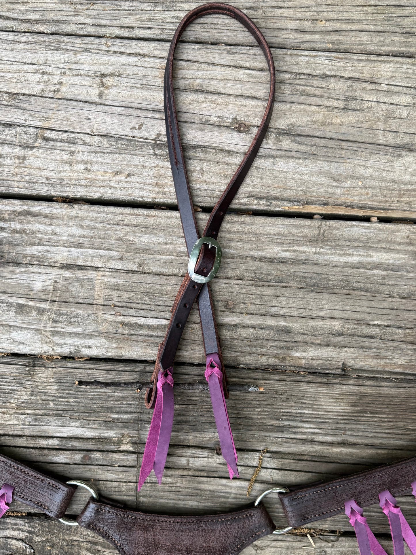 The Purple Longhorn