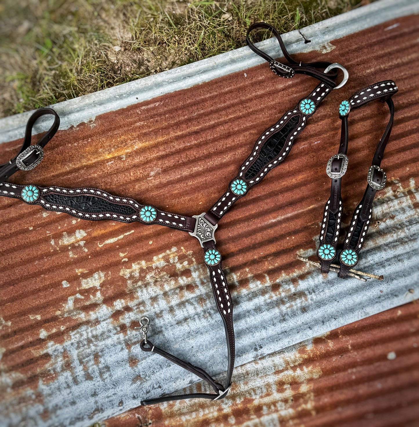 Black Croc Breast collar w/ turquoise Conchos