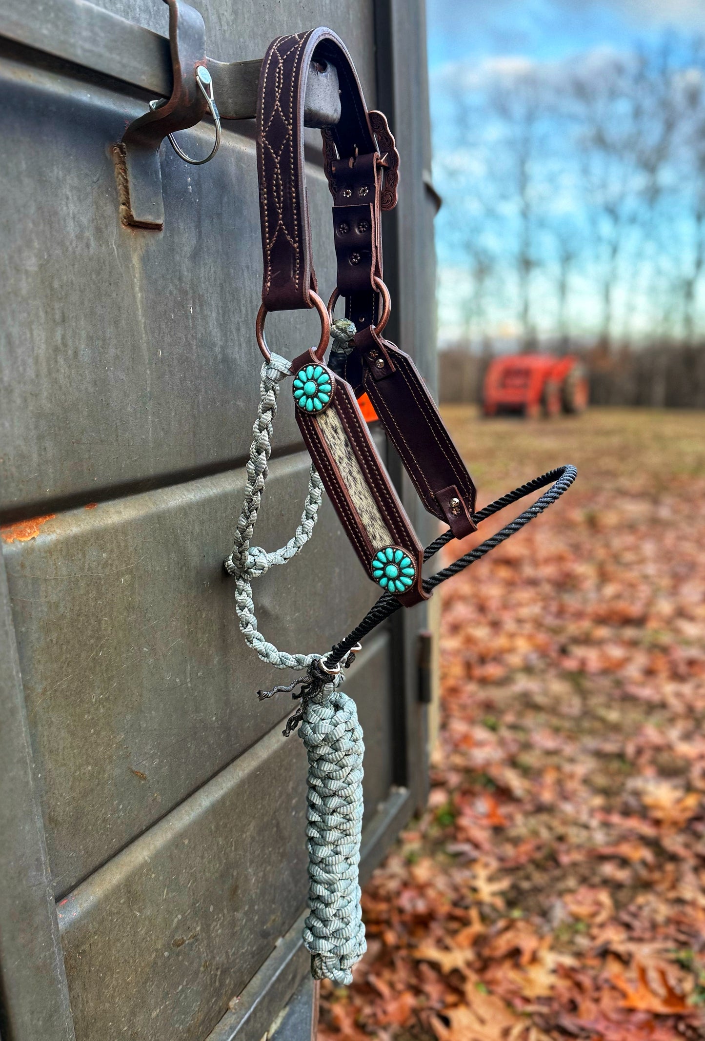 Blk/white cowhide hybrid halter
