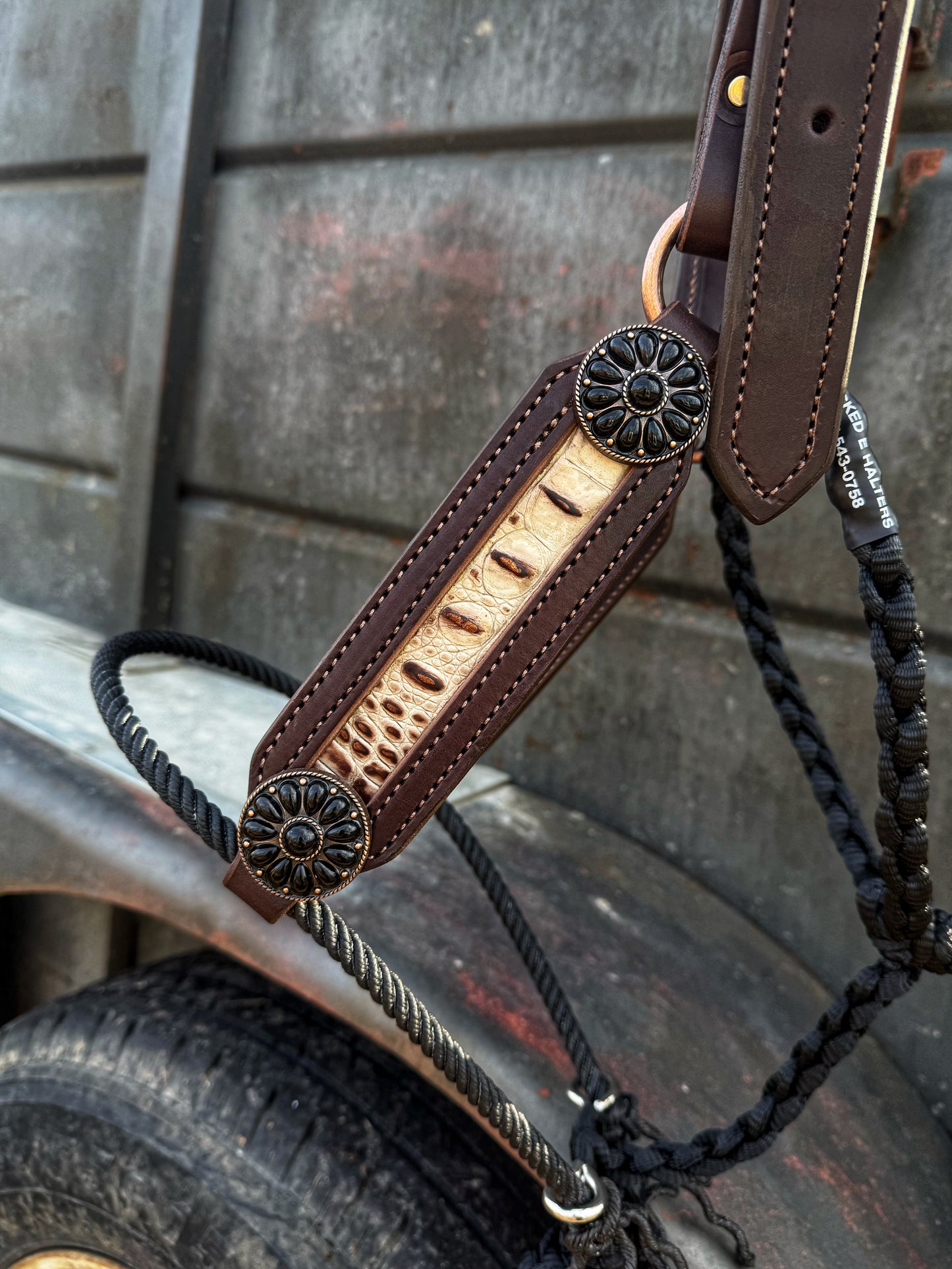 White Croc w/ blk sandstone conchos hybrid halter