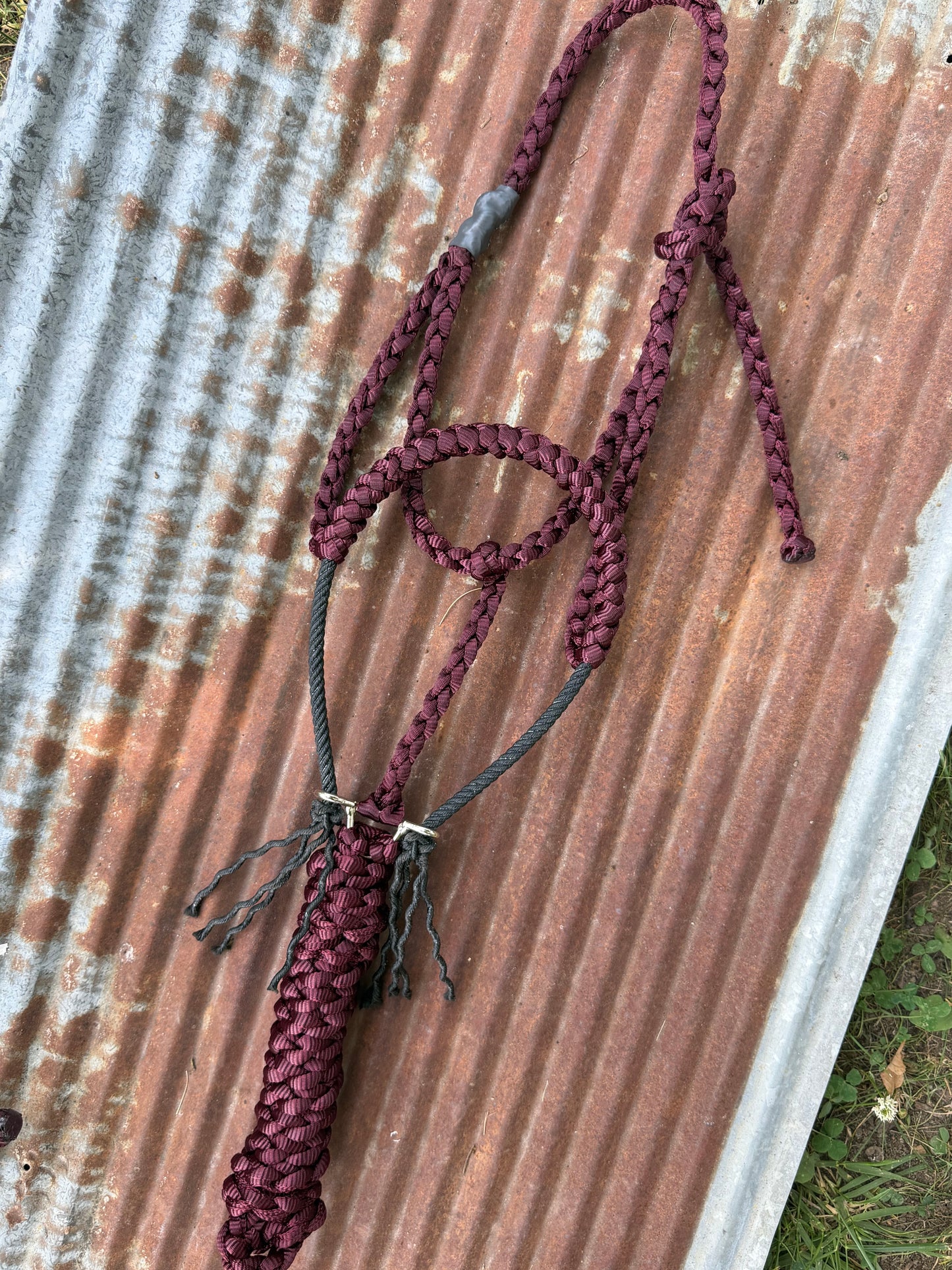 “discounted” Rope Halters