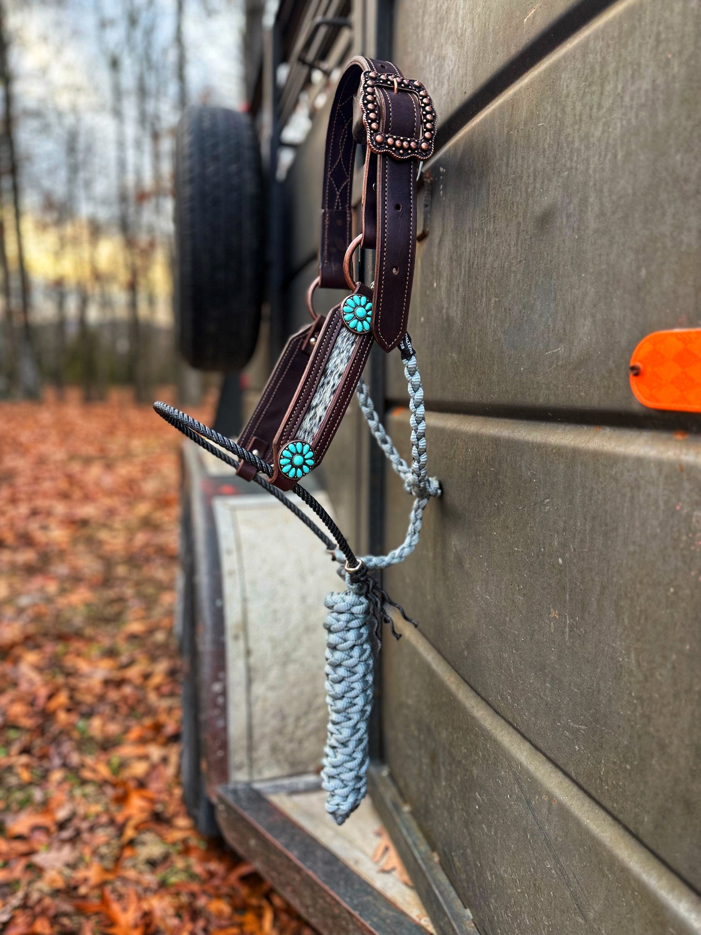 Blk/white cowhide hybrid halter