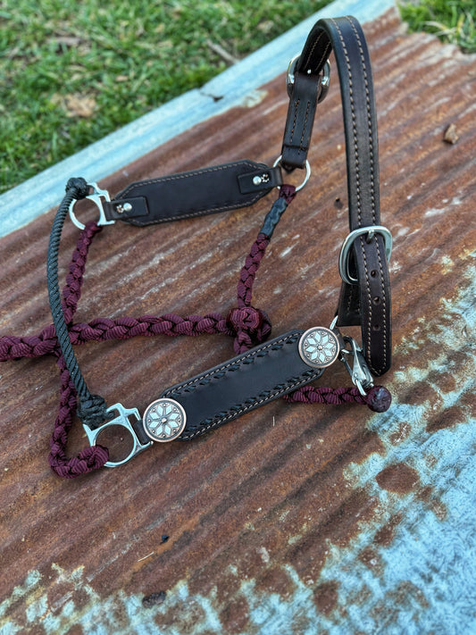 Black buckstich w/white working hybrid halter