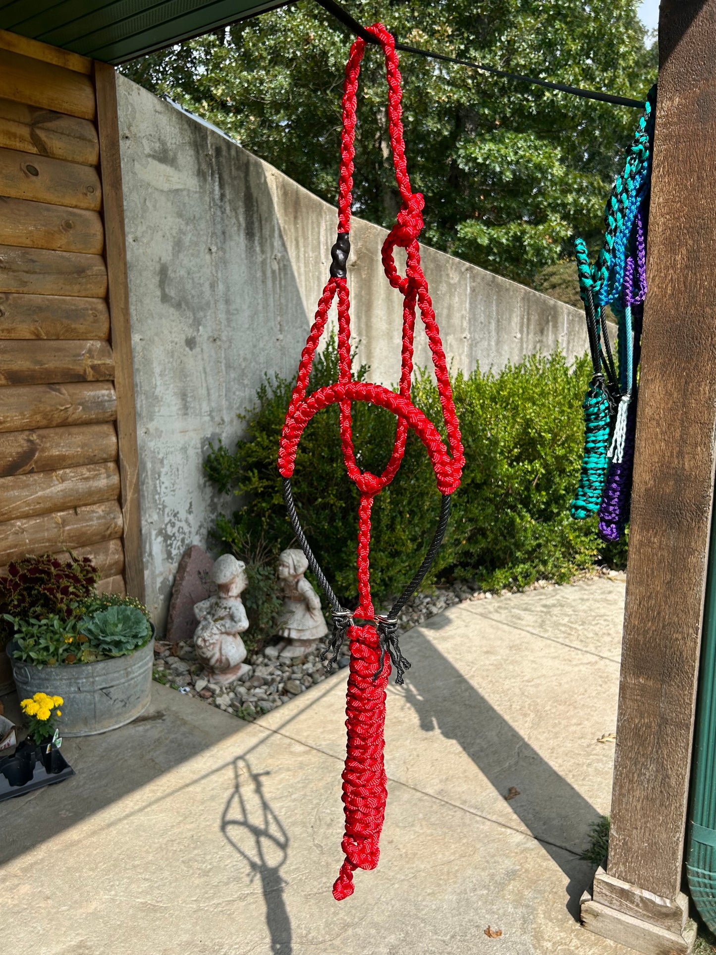 Solid color rope halter