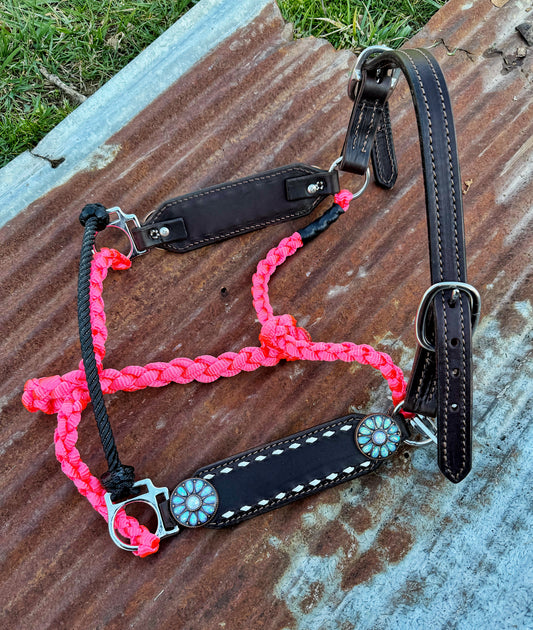 White Buckstitch w/blue crystal working hybrid halter