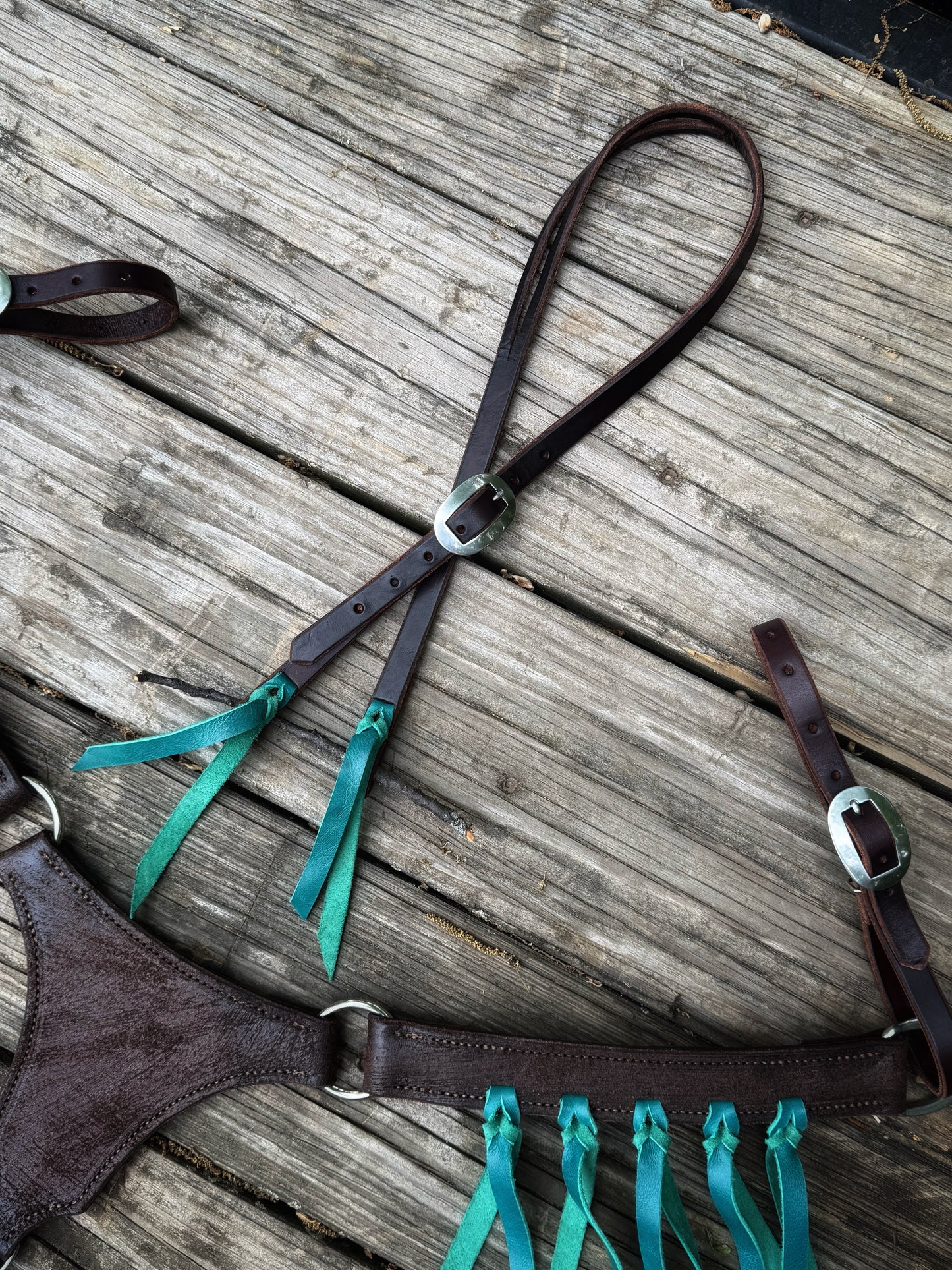 Turquoise Longhorn