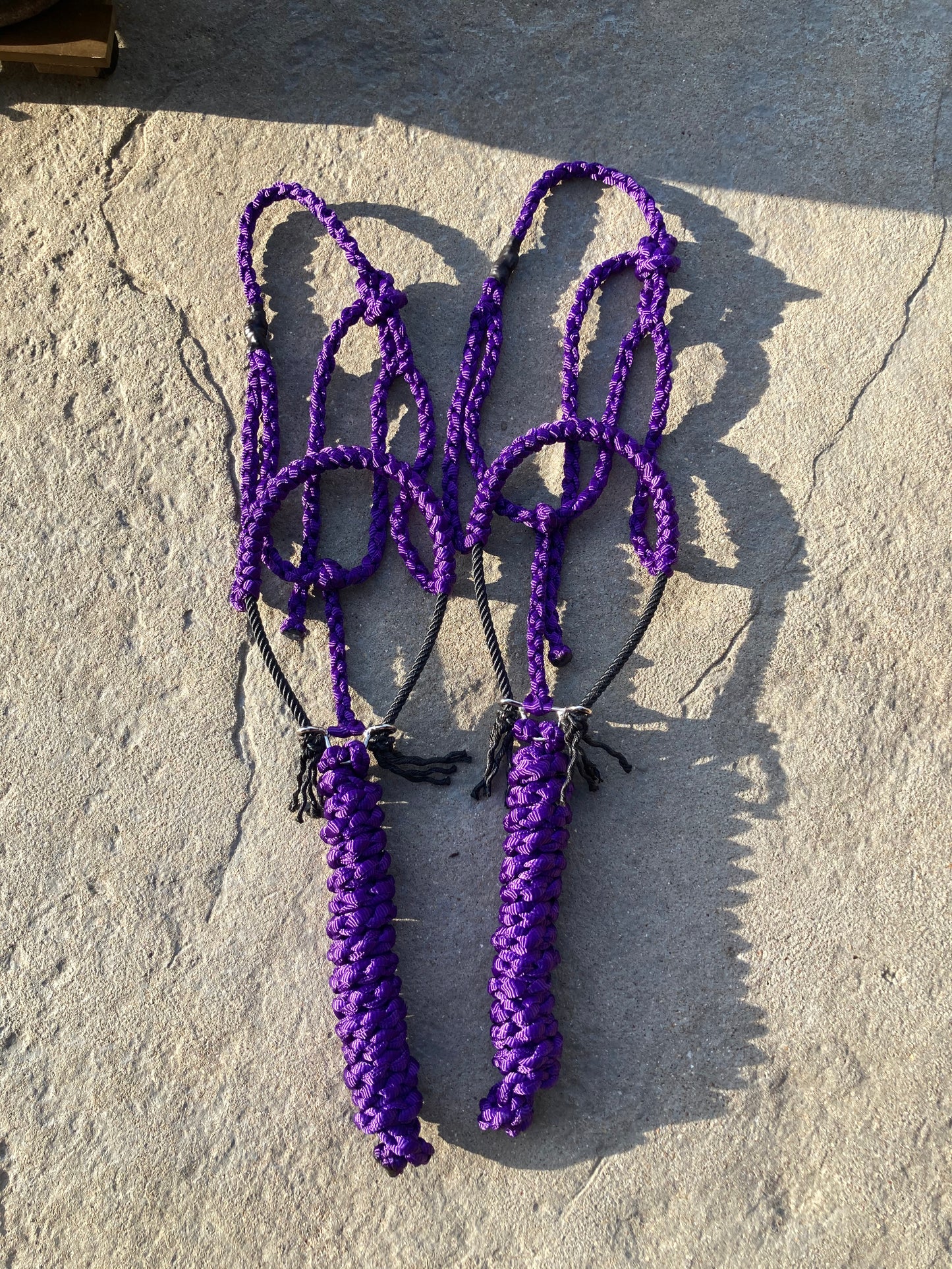 Solid color rope halter