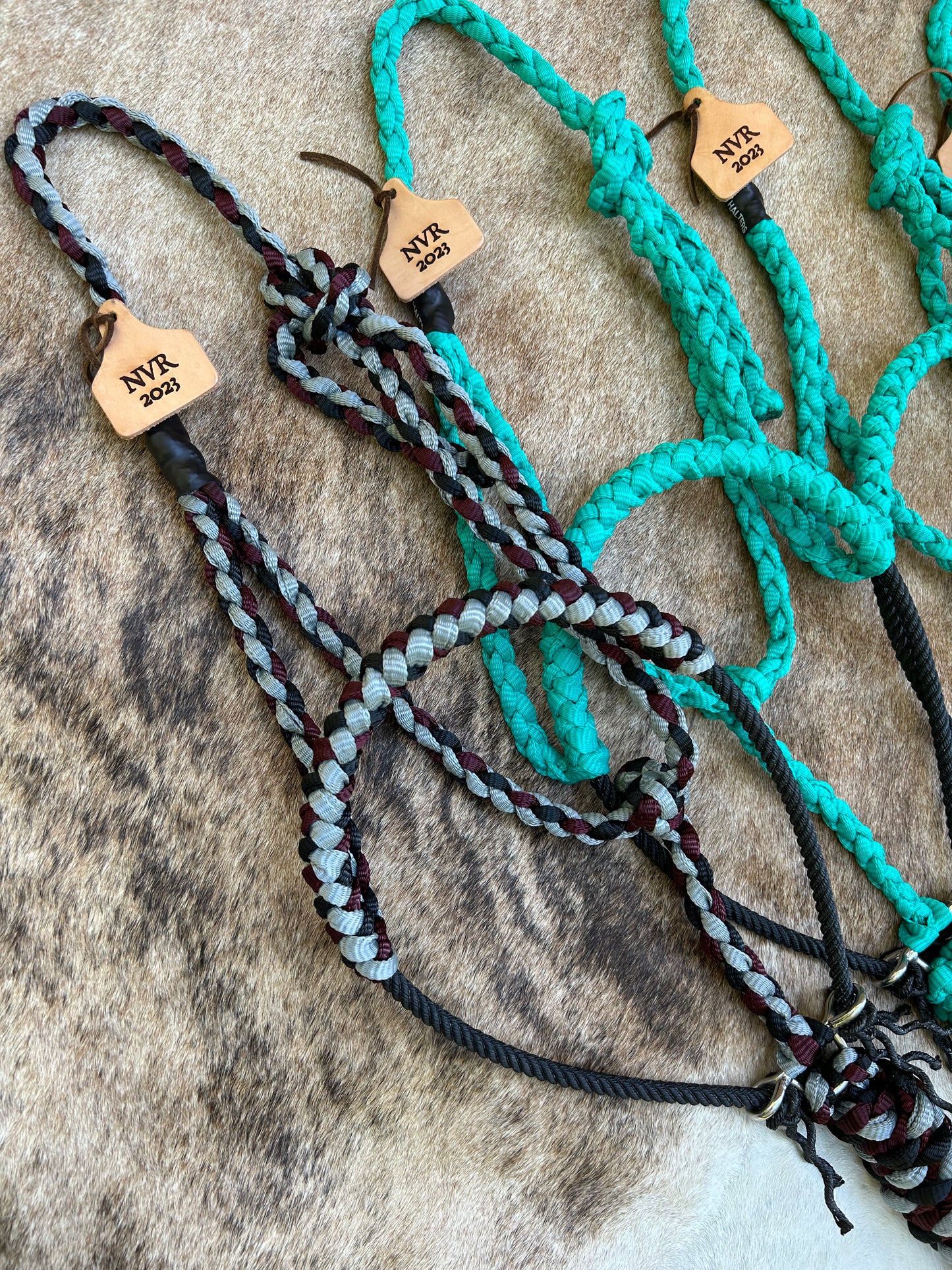 Rope halters w/custom leather ear tags