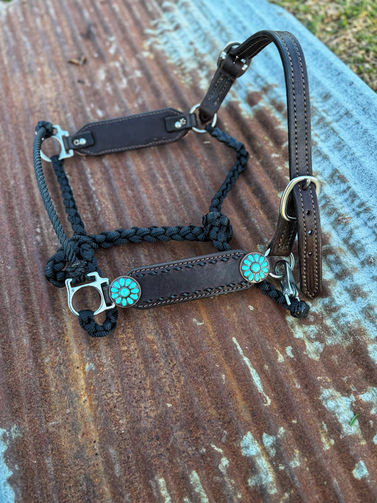 Black buckstich w/turquoise working Hybrid halter