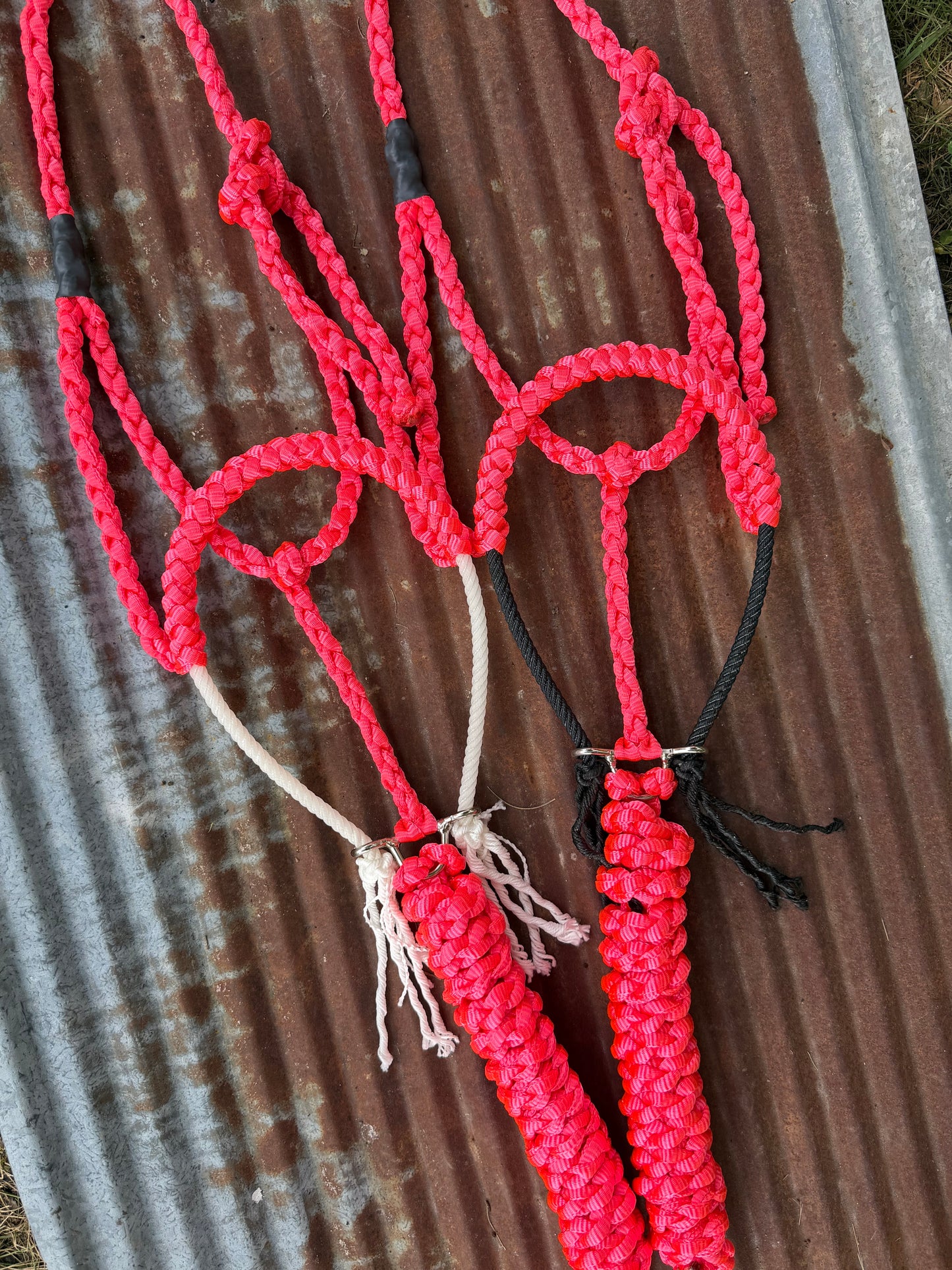 “discounted” Rope Halters