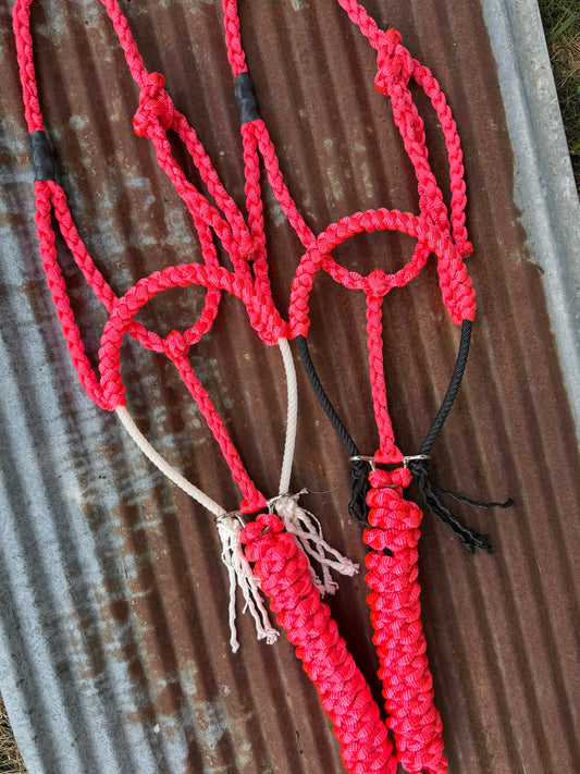 “discounted” Rope Halters