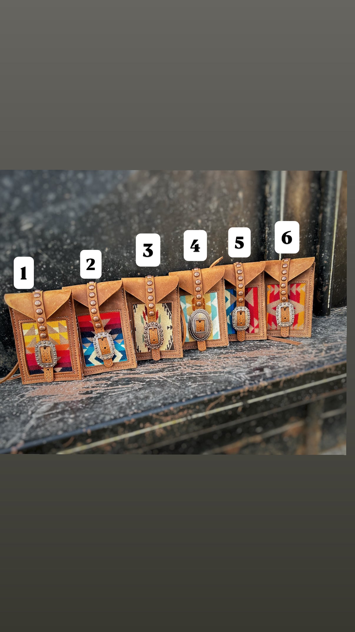 Pendleton back cinch saddle bags ￼