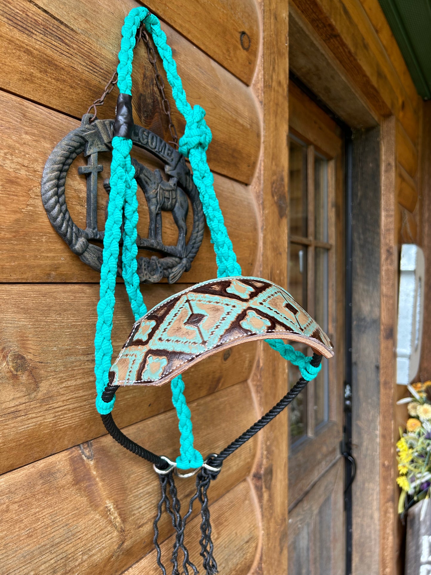 Leather nose band halter