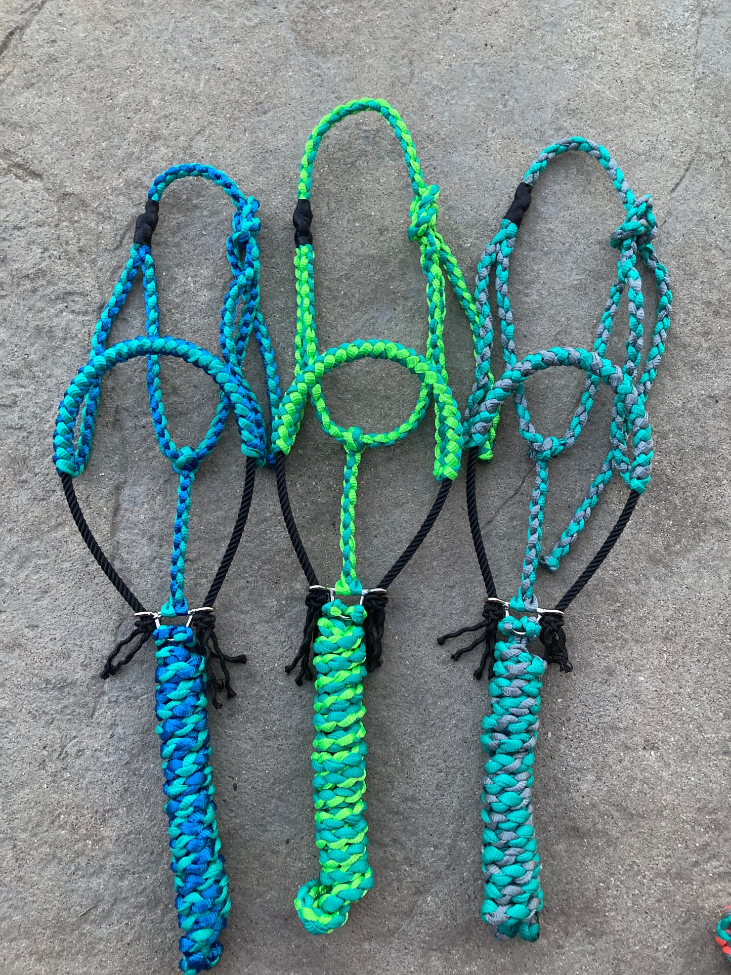 2 toned rope halters