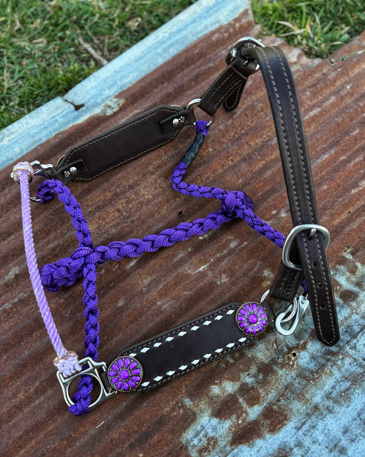 White Buckstitch w/purple working hybrid halter