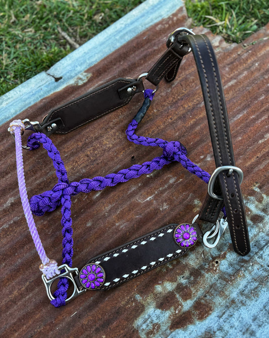 White Buckstitch w/purple working hybrid halter