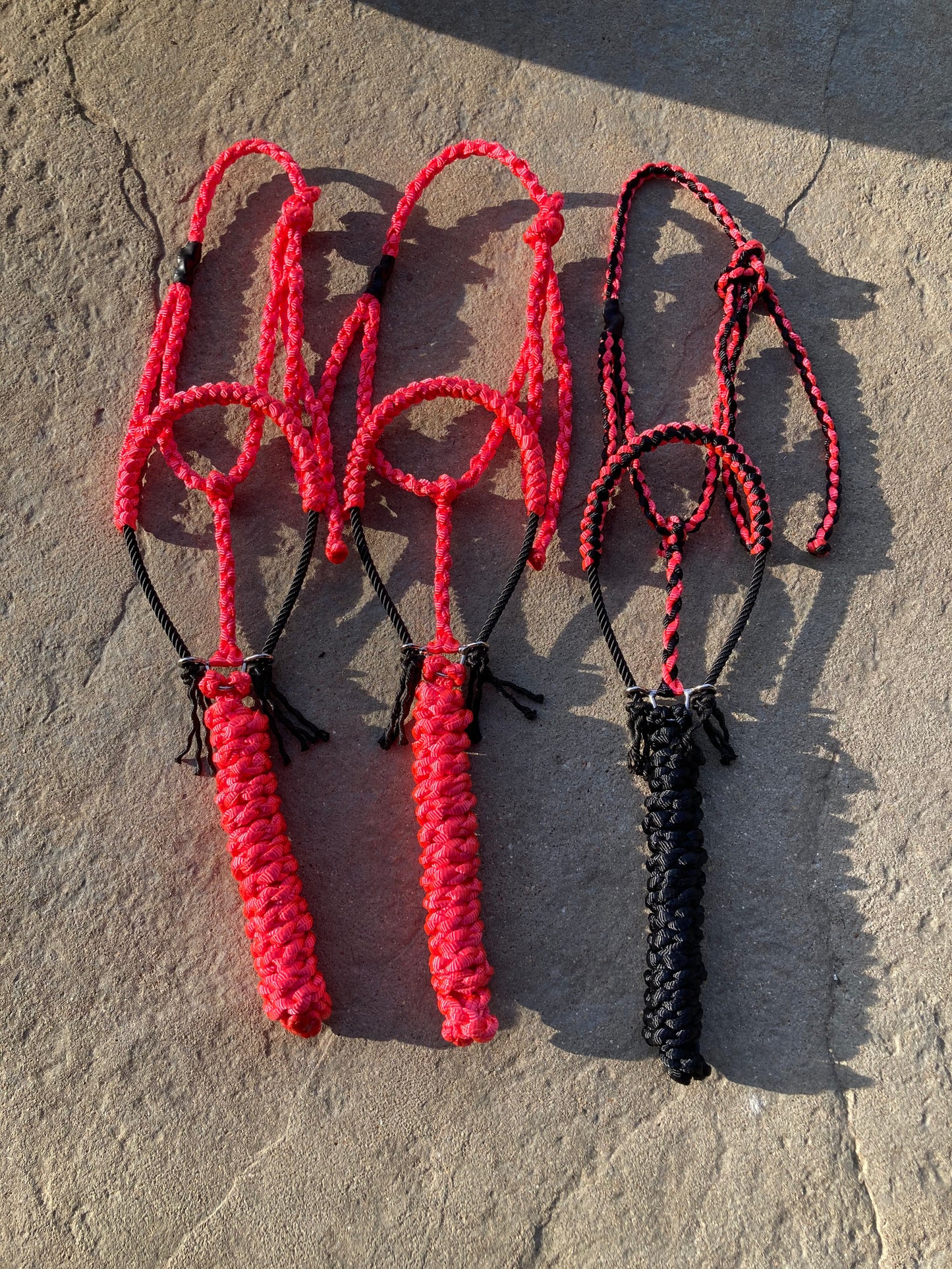 Solid color rope halter