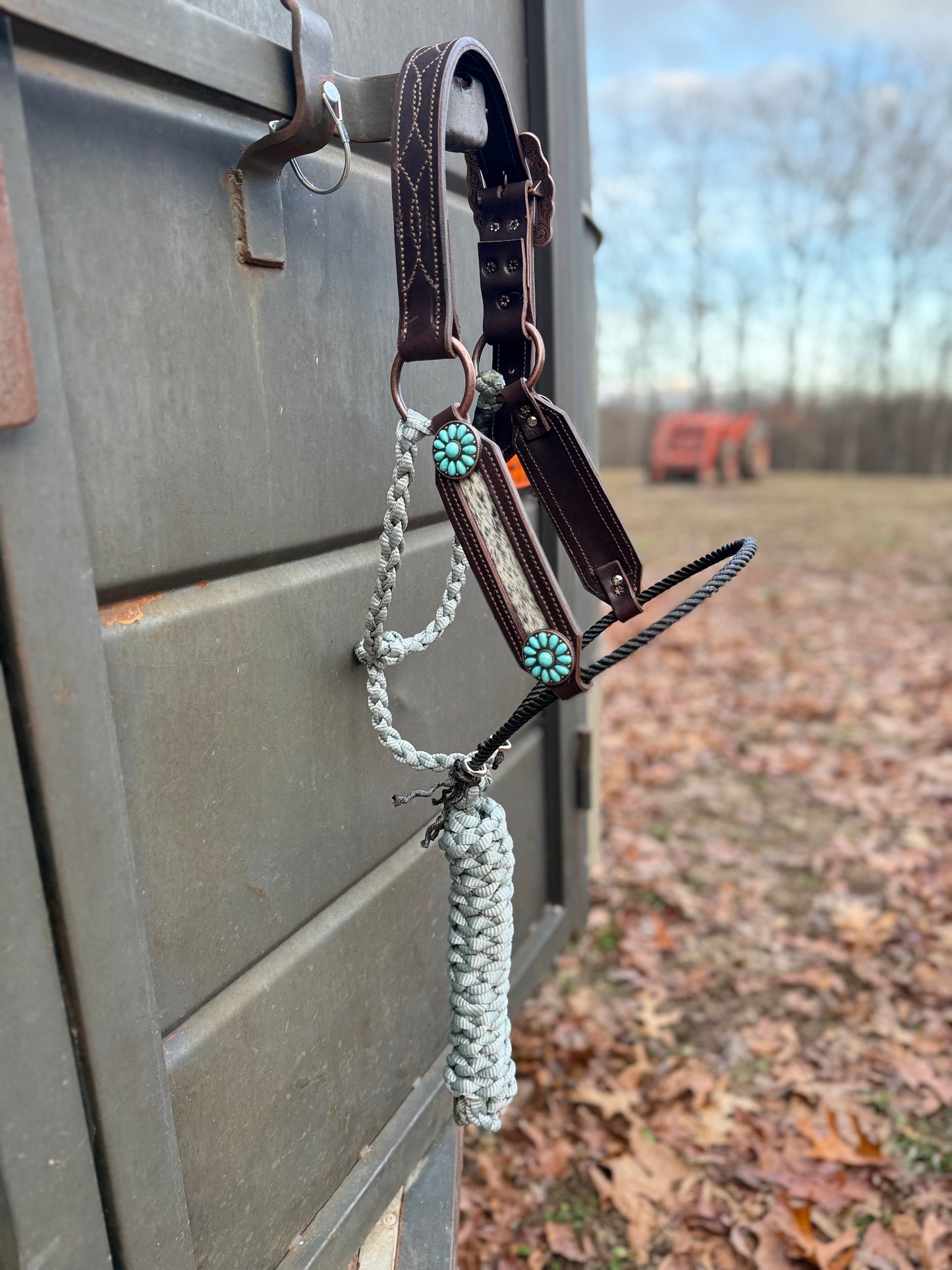 Blk/white cowhide hybrid halter