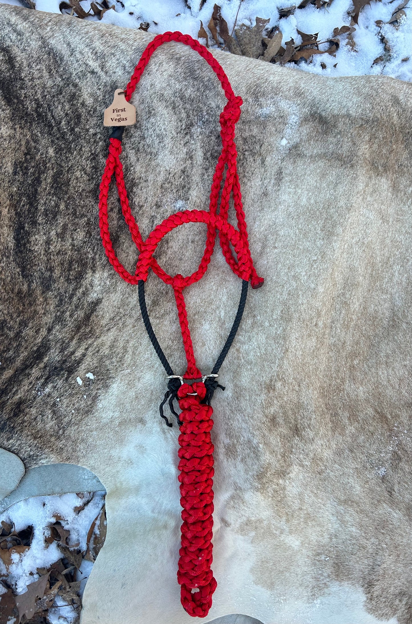 Rope halters w/custom leather ear tags