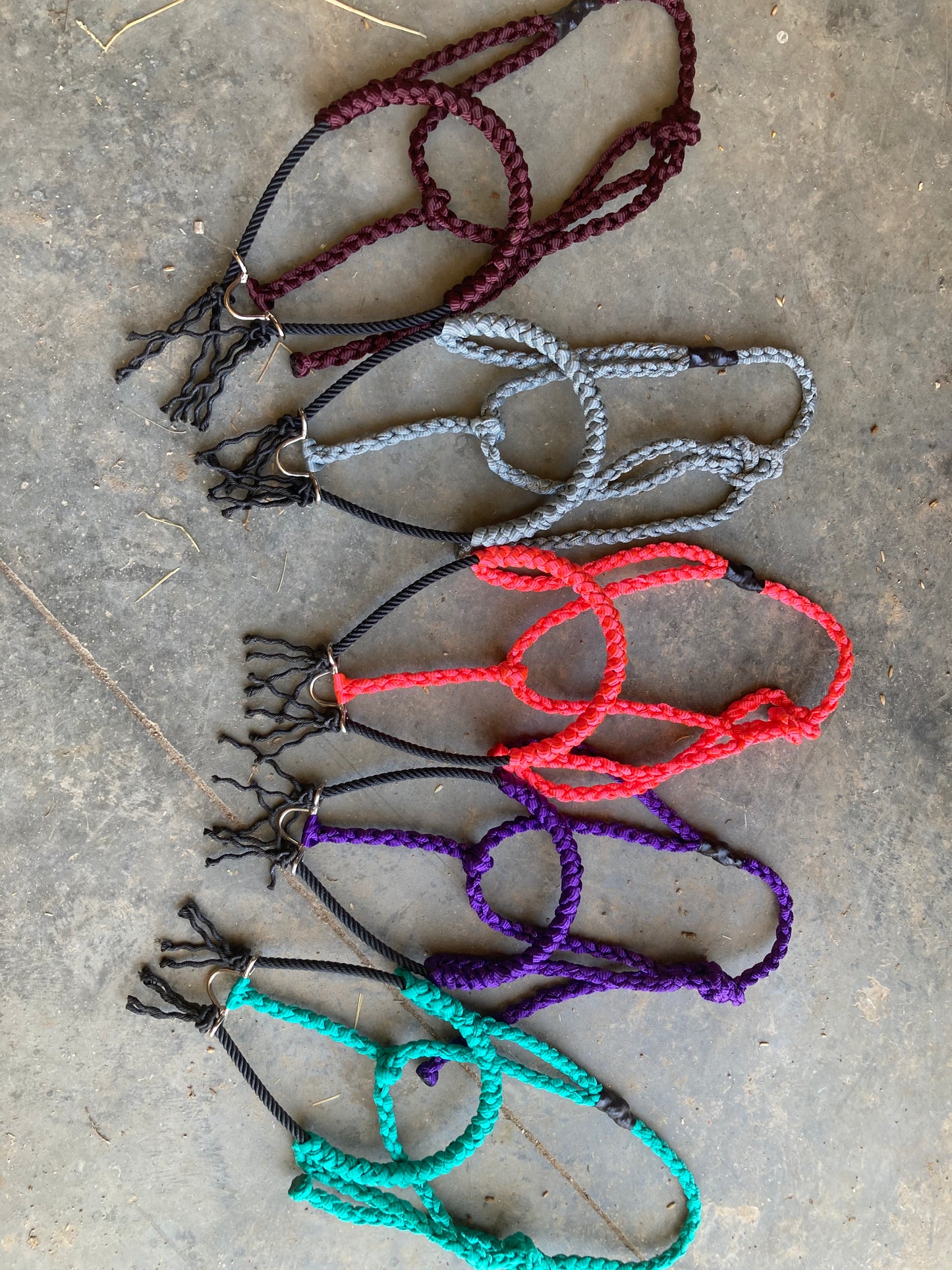 Solid color rope halter