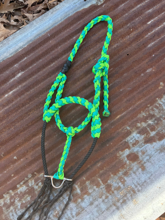 Turquoise/Limegreen Rope Halter