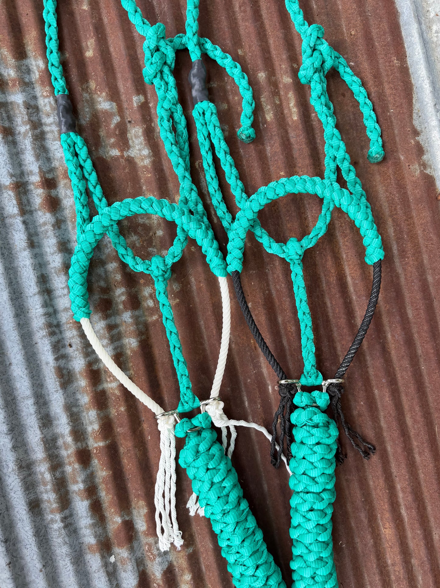 “discounted” Rope Halters
