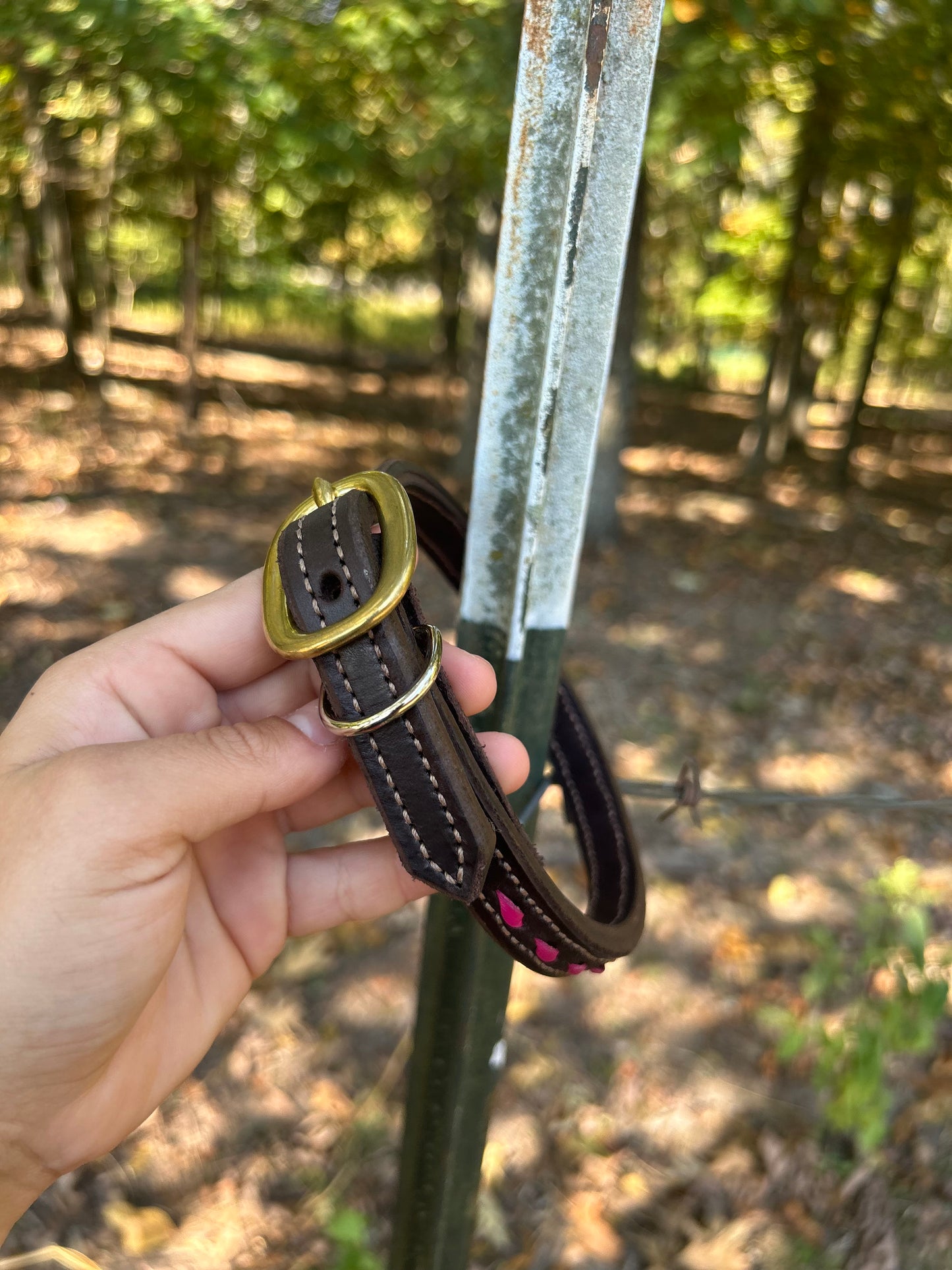 Brass buckle with pink buck stitch