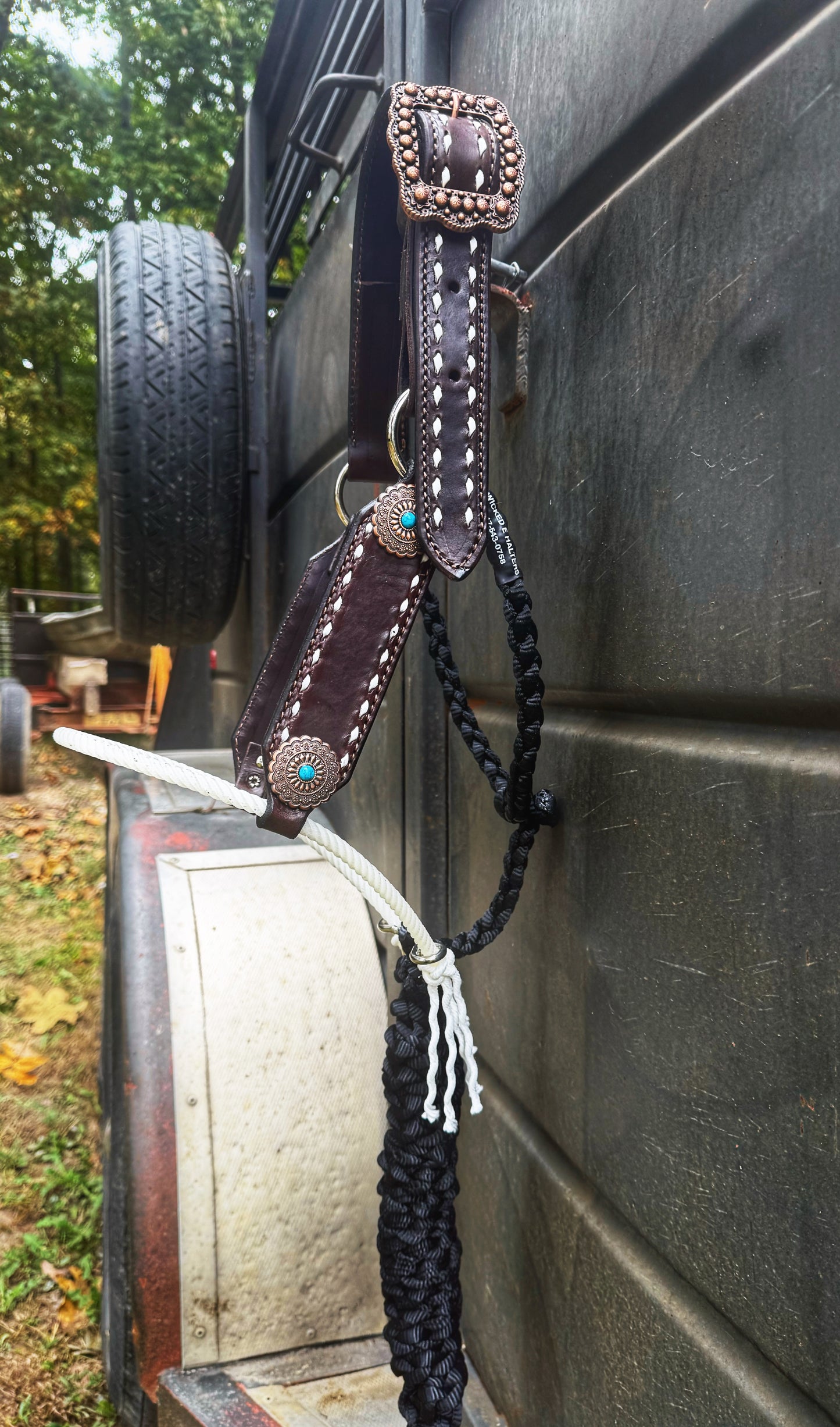 Chocolate brown hybrid w/turquoise Conchos