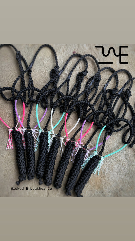 Rope halters w/ colored NB