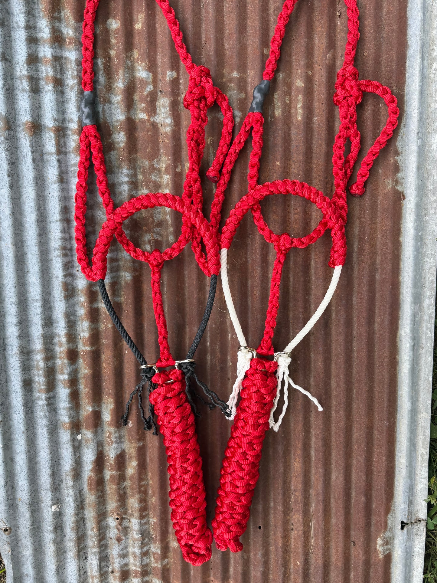 “discounted” Rope Halters