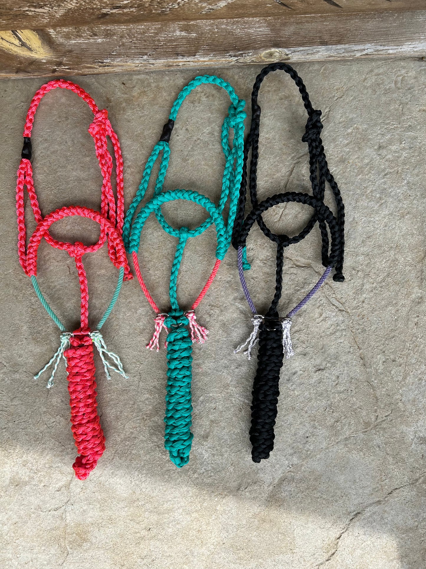 Rope halters w/ colored NB