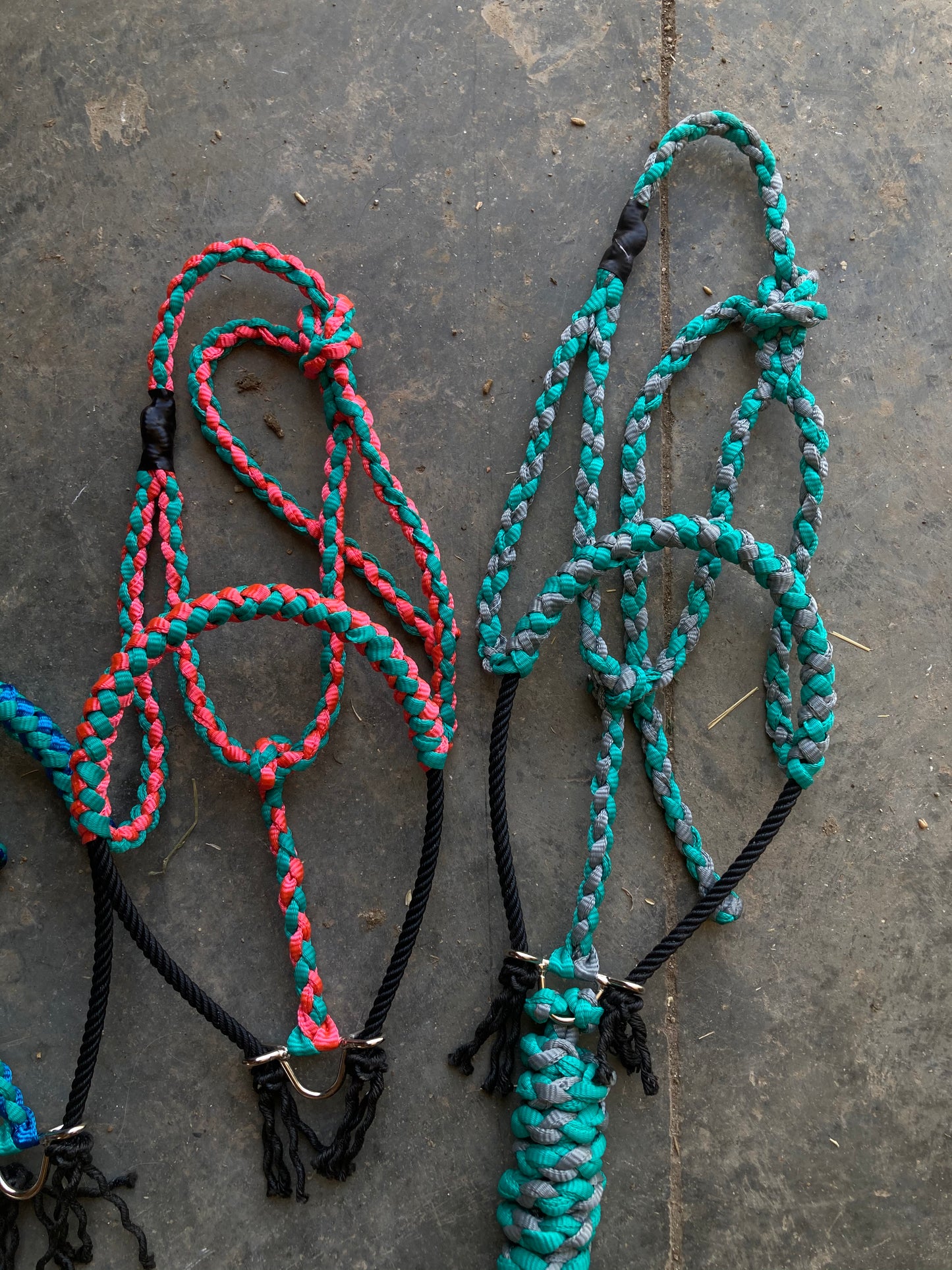 2 toned rope halters