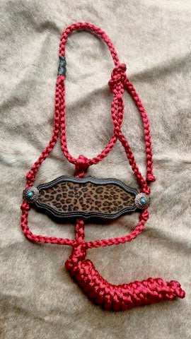 Red Cheetah leather nose band halter