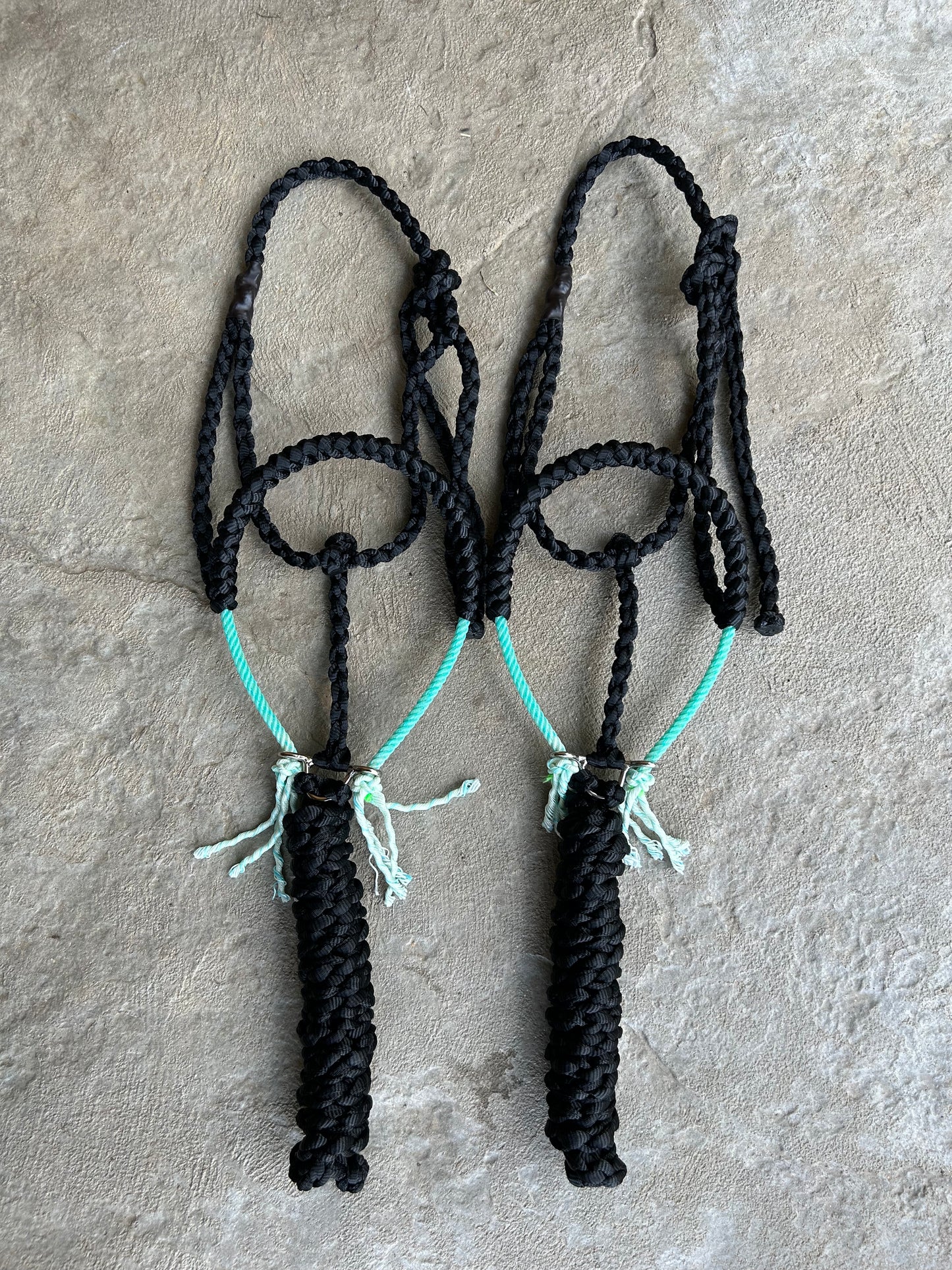 Rope halters w/ colored NB