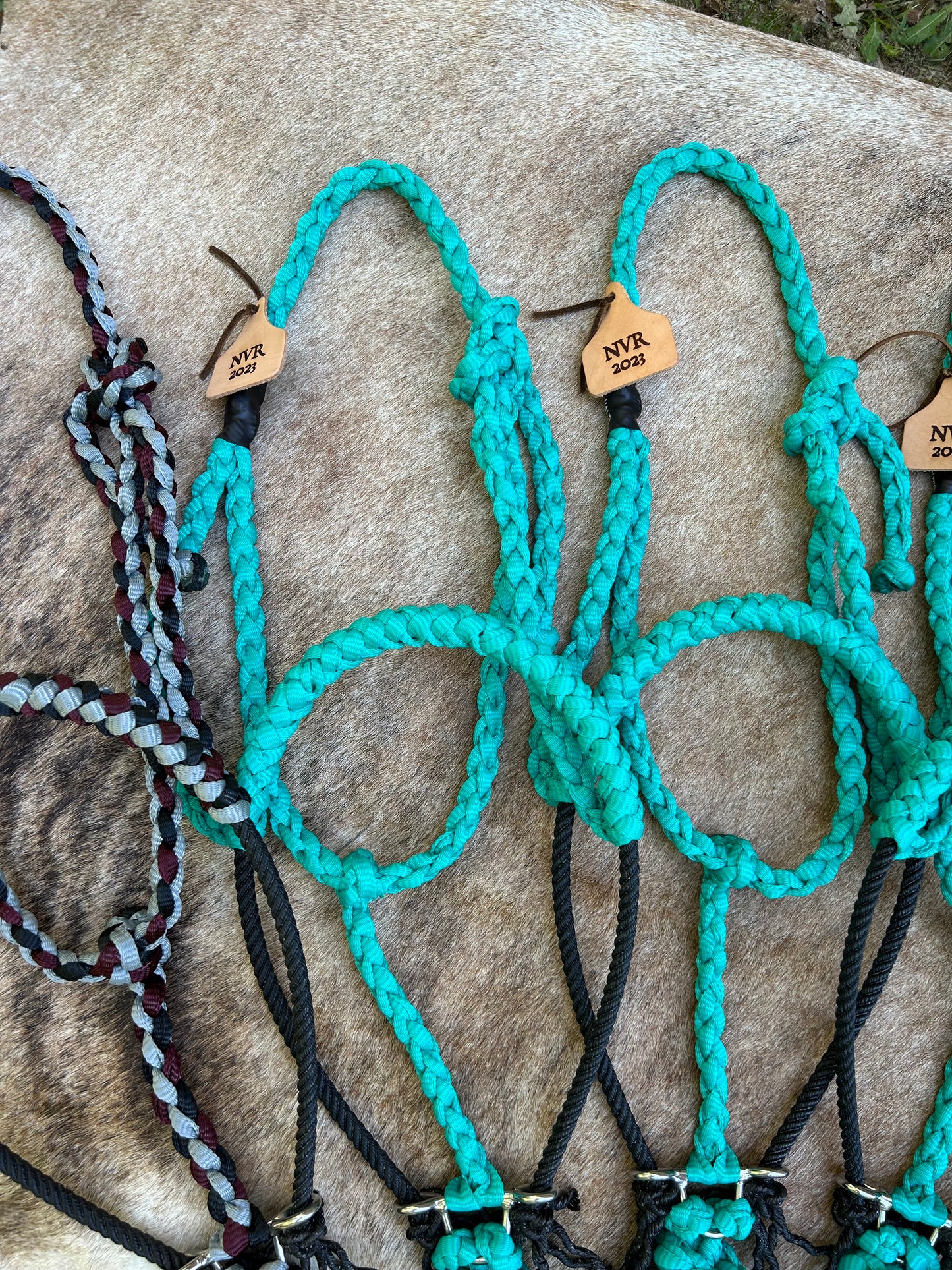 Rope halters w/custom leather ear tags