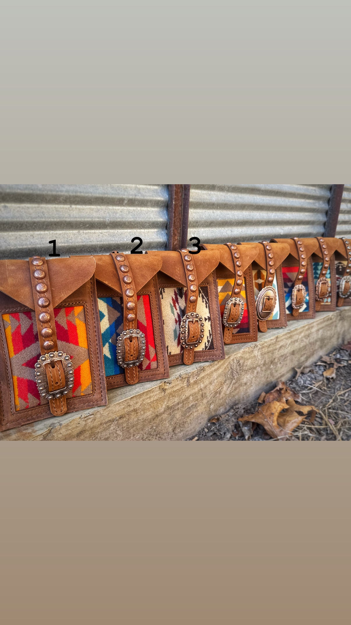 Pendleton Back Cinch Saddle bags