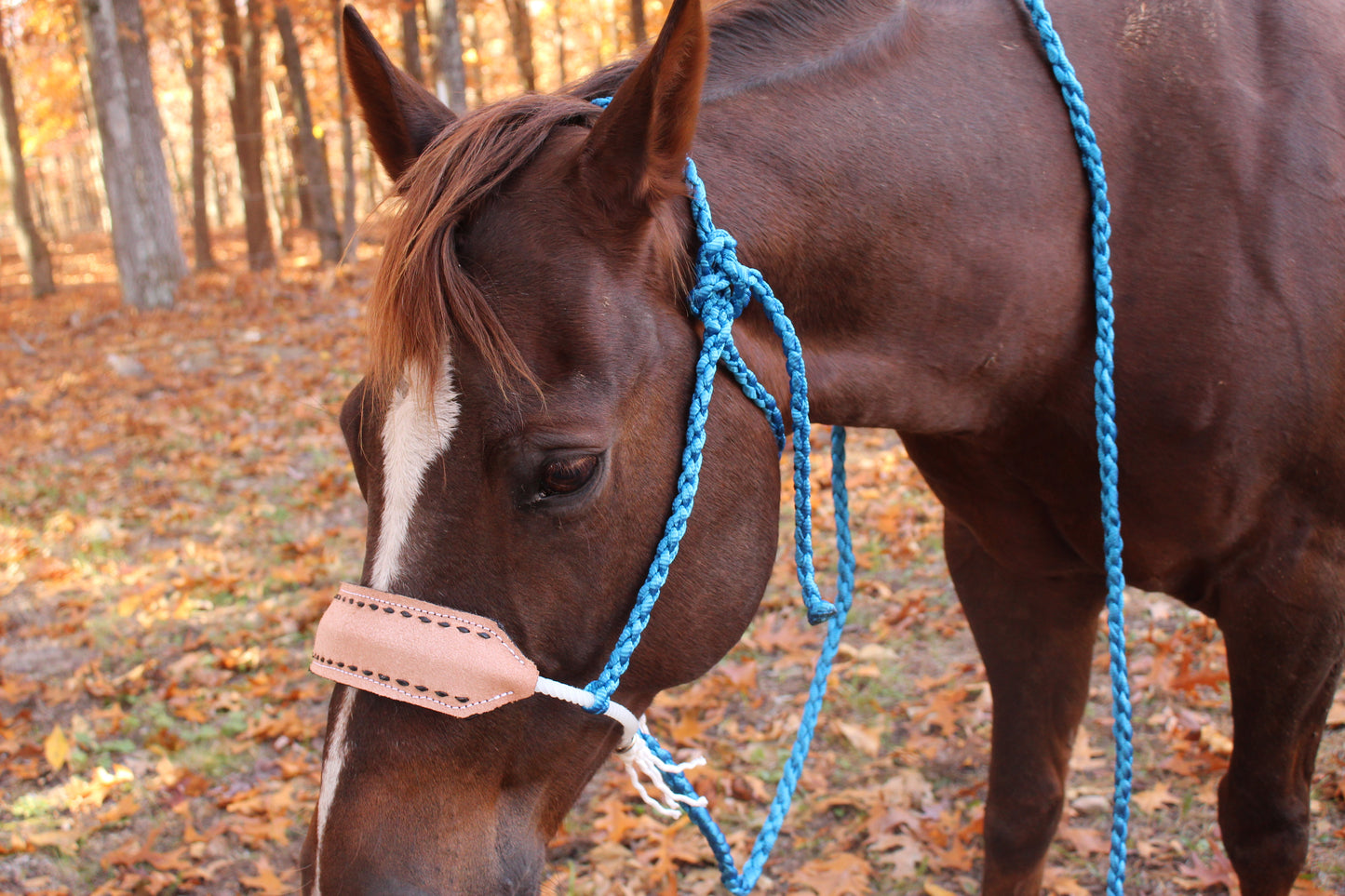 Buck stitch leather nose band rope halters