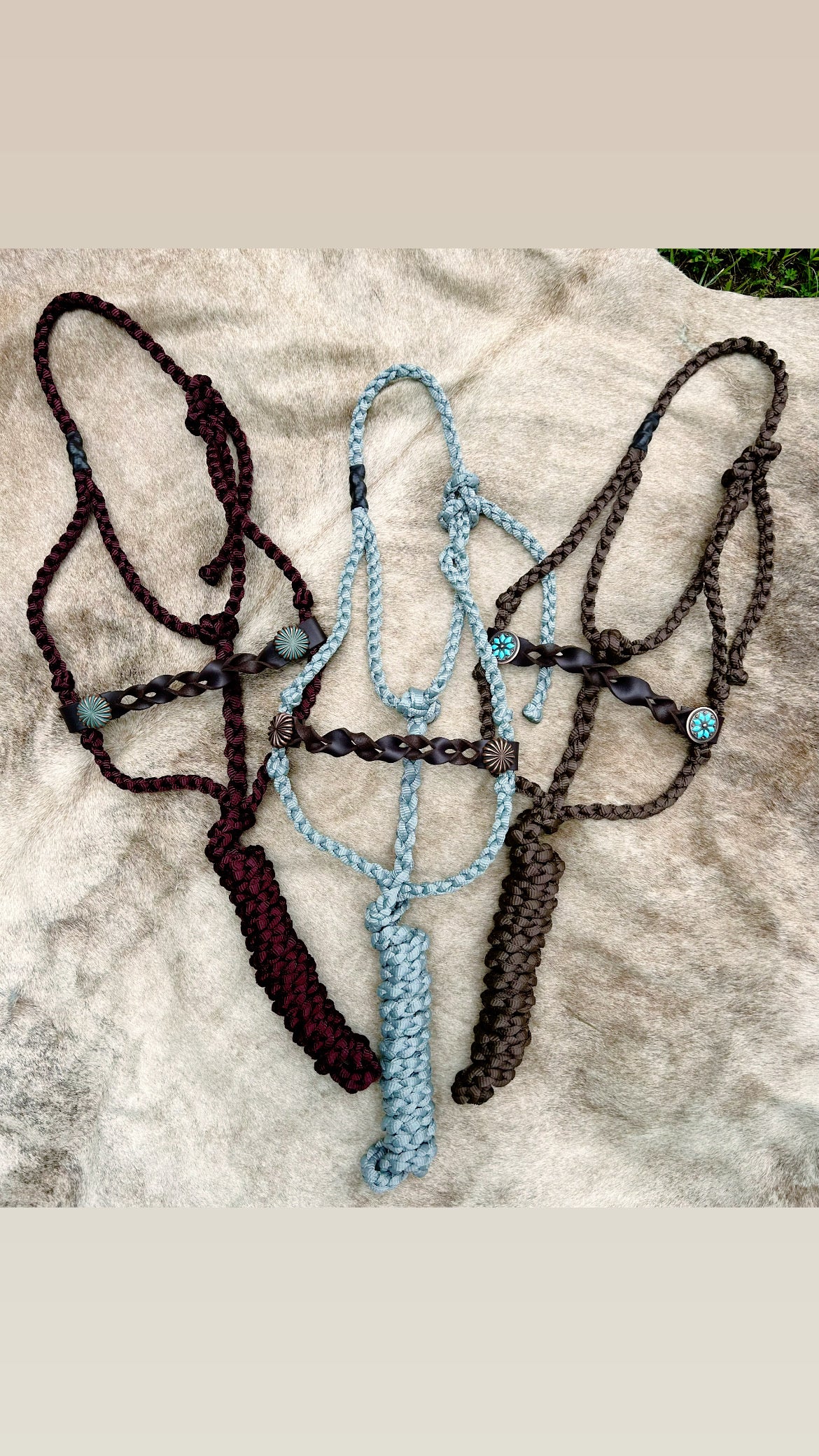 Knotted nose band halters