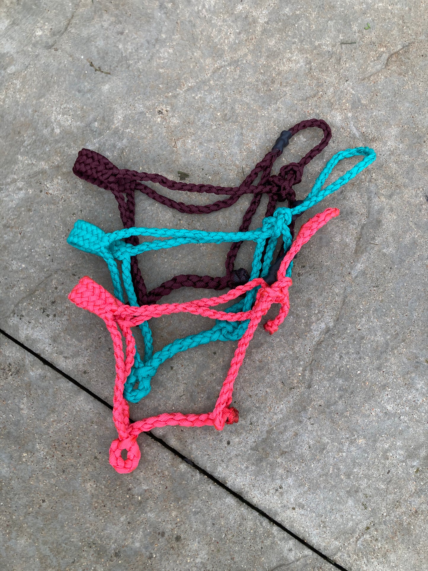 Solid standard muletape halter