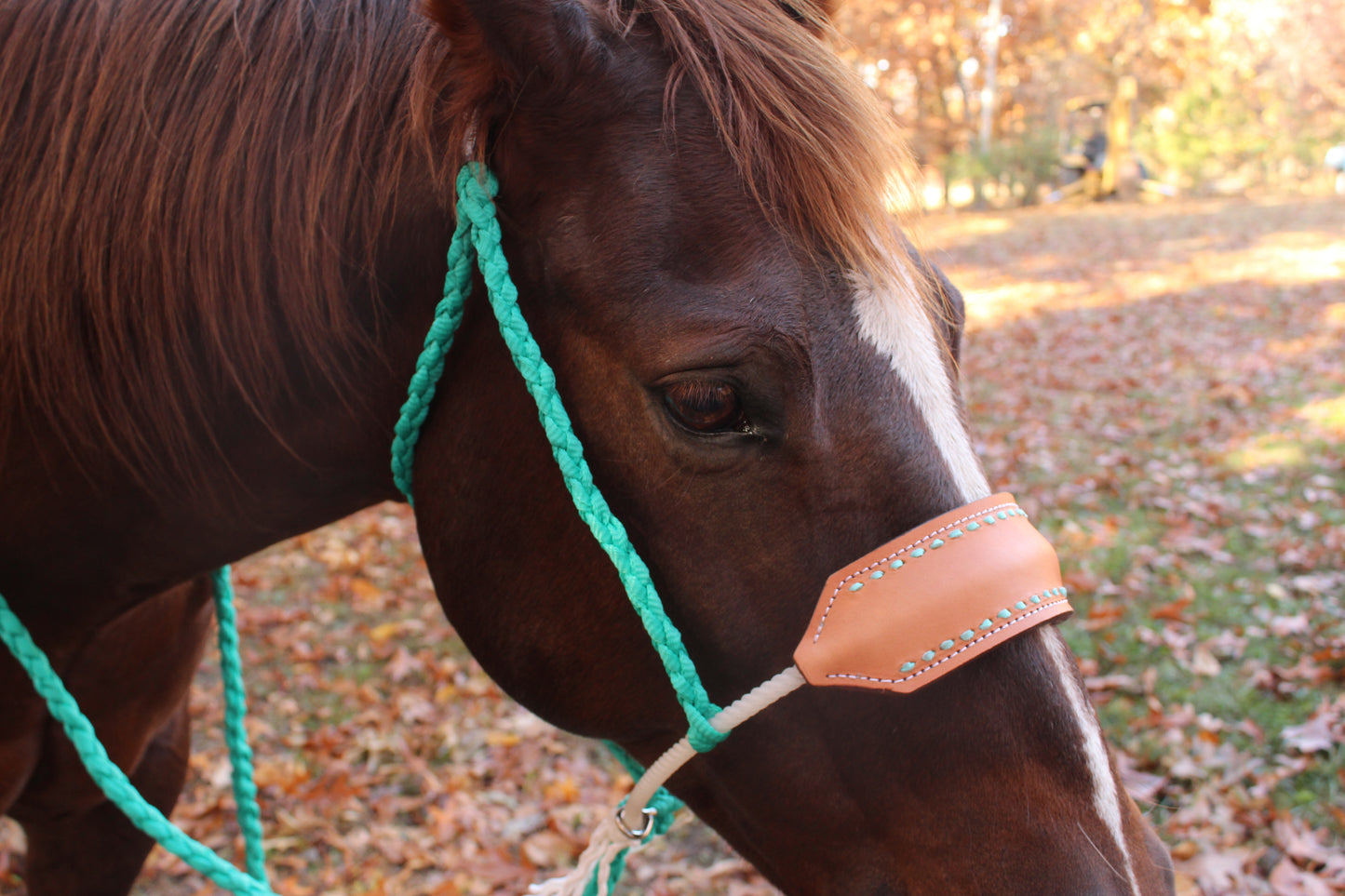 Buck stitch leather nose band rope halters