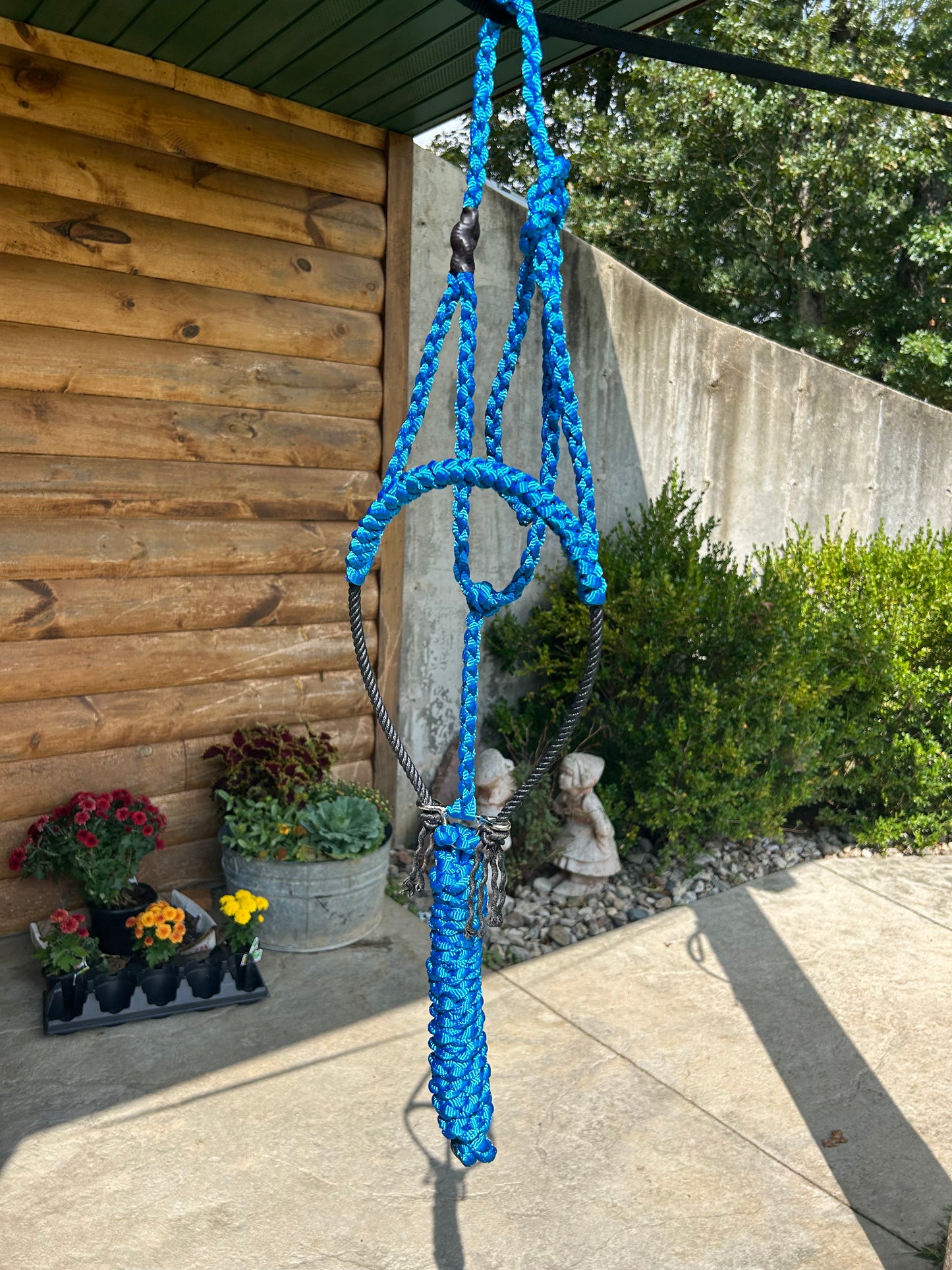 Solid color rope halter