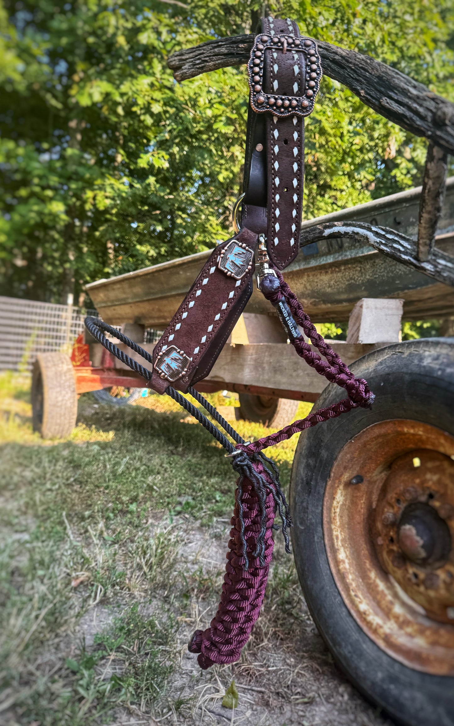 Roughout hybrid halter