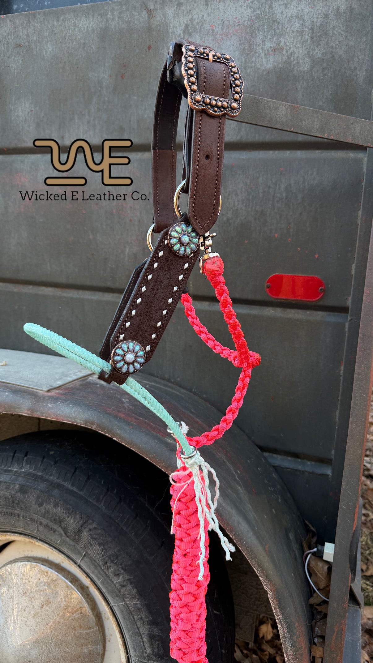 Cotton Candy Cowgirl Hybrid