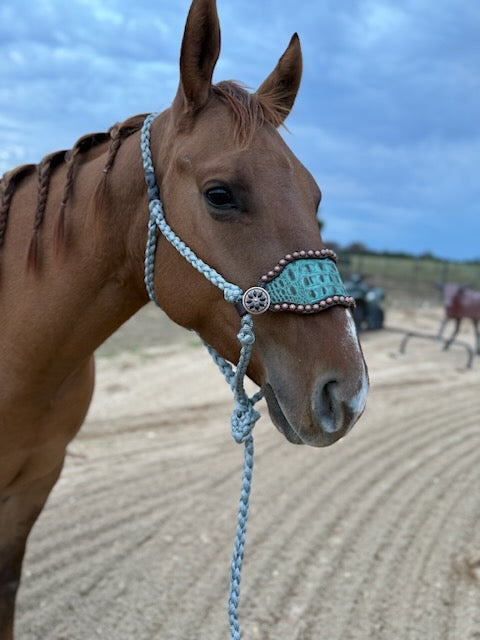 turquoise croc leather noseband