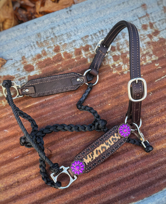 Purple Cheetah Working Hybrid Halter